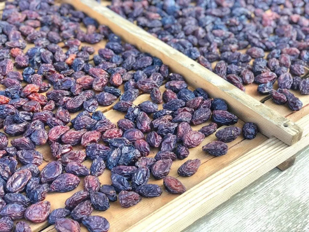 This easy Butternut Squash Crostini recipe is such great appetizer for fall entertaining. It's the perfect Thanksgiving appetizer recipe or could be served on larger slices of bread for a full side. Guests will never believe that this recipe has just four simple ingredients but tastes amazing.