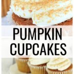 The best fall dessert is my pumpkin cupcakes. Follow my recipe to make cream cheese buttercream frosting for your next fall party.