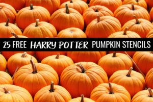 25 Free Harry Potter Pumpkin Carving Stencils: Amazing Halloween Ideas