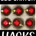 You'll never throw away empty egg cartons again once you see these hacks! Your mind will be blown with these 16 uses for egg cartons for around the house!