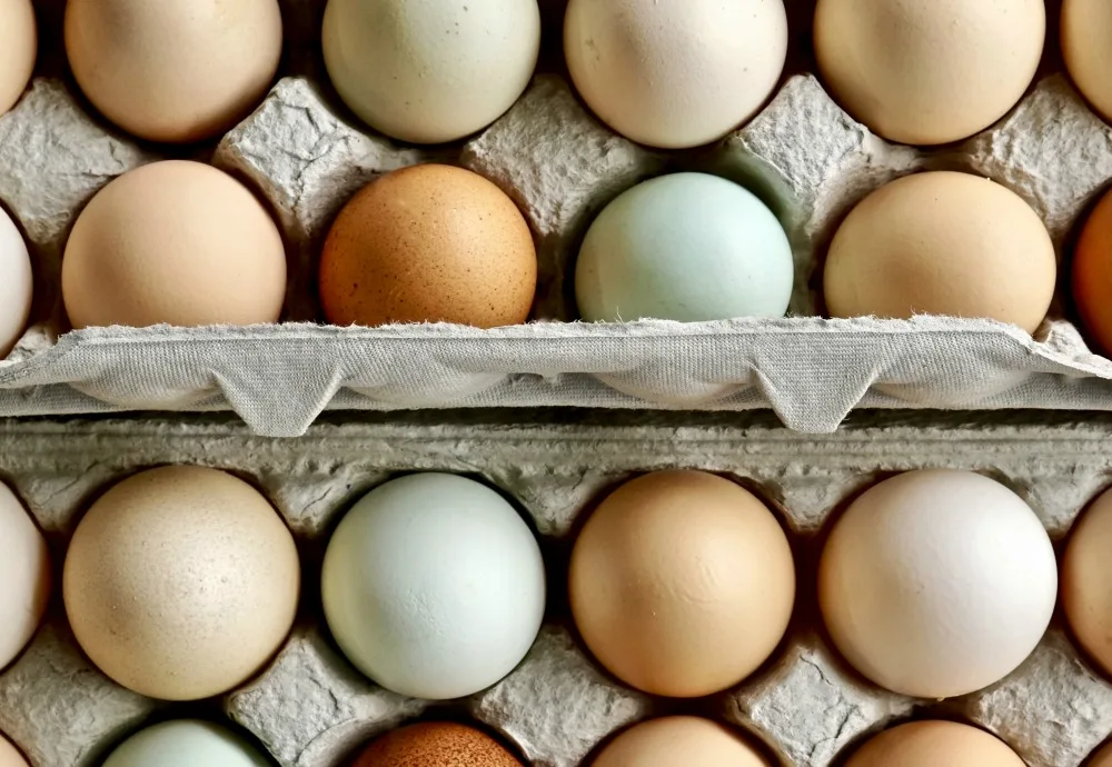 You'll never throw away empty egg cartons again once you see these hacks! Your mind will be blown with these 16 uses for egg cartons for around the house!