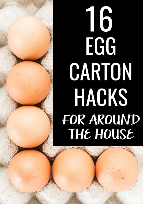 You'll never throw away empty egg cartons again once you see these hacks! Your mind will be blown with these 16 uses for egg cartons for around the house! From organization to storage, egg cartons are such a great way to get your house in order. Especially with the holidays around the corner! #eggs #egg #hacks #tipsandtricks #frugaltips #organizing #storagehacks #eggcarton #planter #seedgarden #herbgarden #seedstarter #eggcartonhacksdiy #diy #storageideas #ideas #house #recycling #ideas