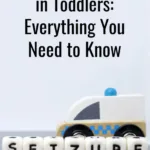 Febrile seizures in toddlers are terrifying. Here's everything you need to know to survive and help your child with febrile seizures,&nbsp; Plus, learn what the future holds for your child with fever seizures...and it doesn't mean epilepsy.