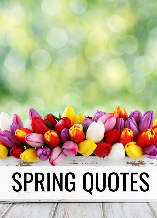 15 Spring Quotes: Inspirational Quotes About Spring with Photos