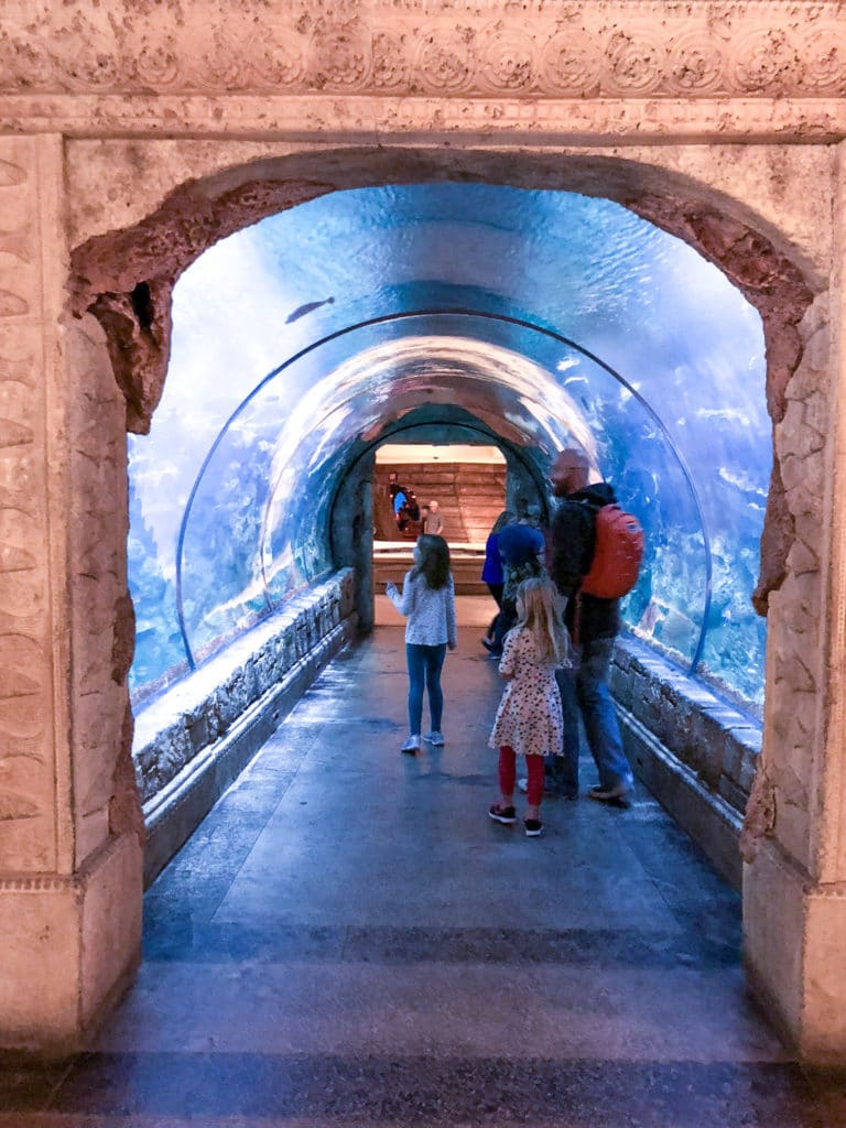 Glass tunnel inside the Shark Reef at Mandalay Bay in Las Vegas.