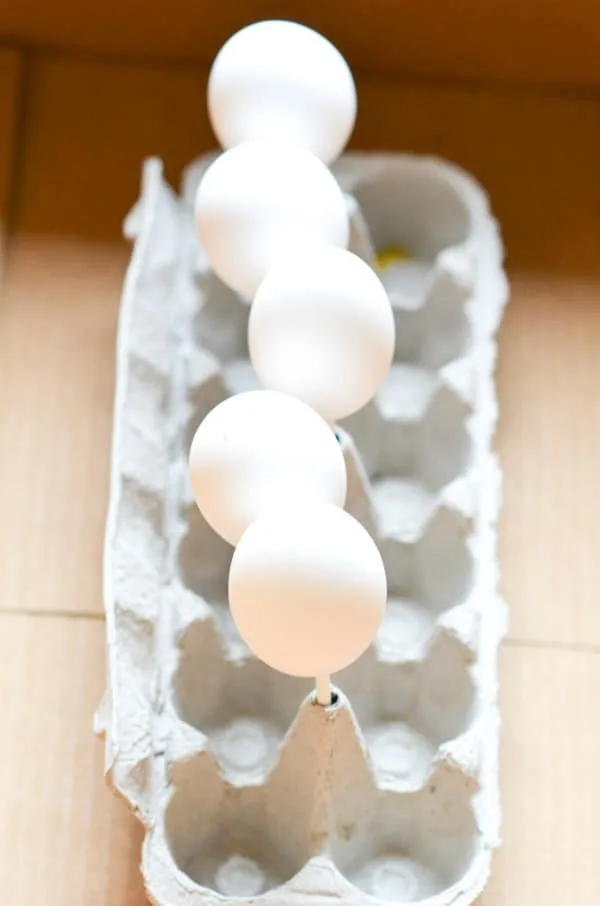 Blown eggs on sticks.