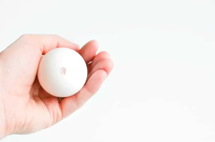 Bottom of blown egg in hand.