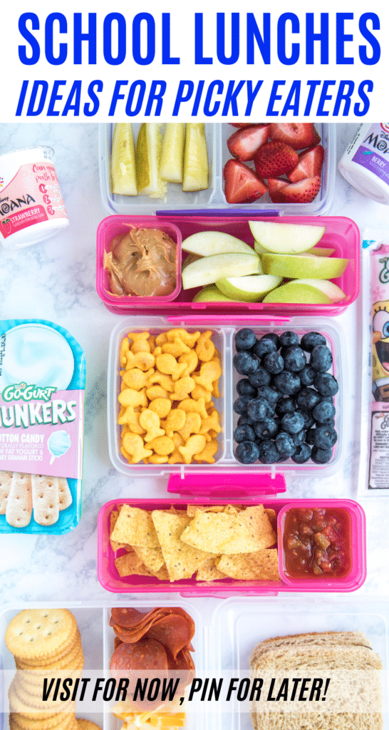 Lunch Ideas For Picky Eaters