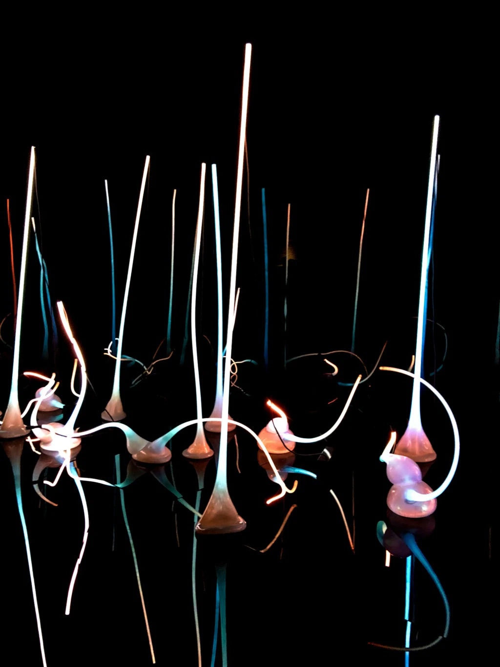 Chihuly Glass at the Chihuly Garden