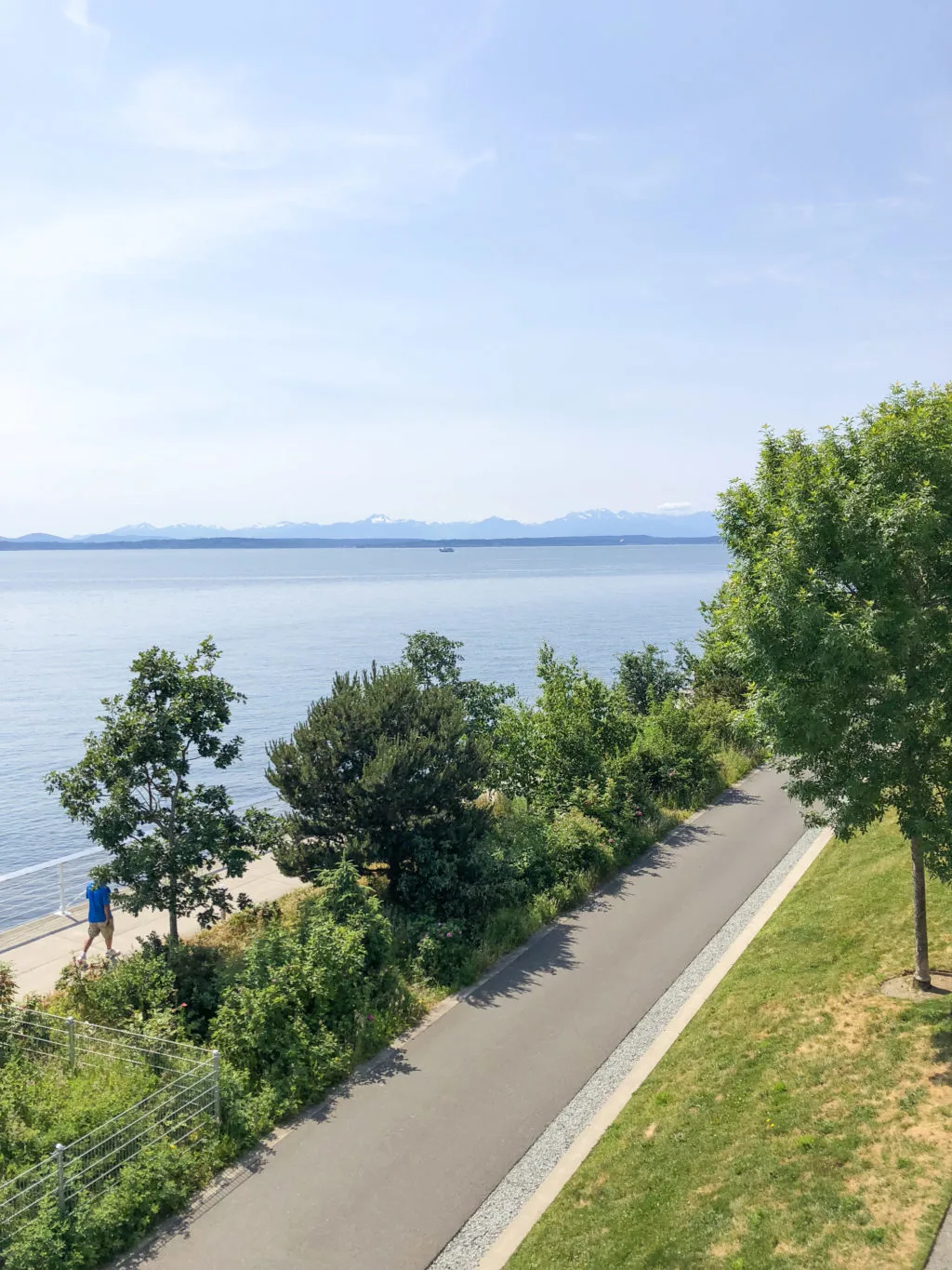 Seattle waterfront view from Olympic Sculpture Park