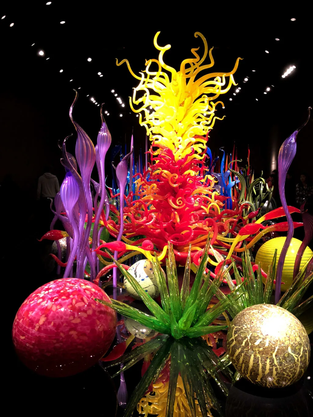 Things to do in Seattle - Chihuly Glass