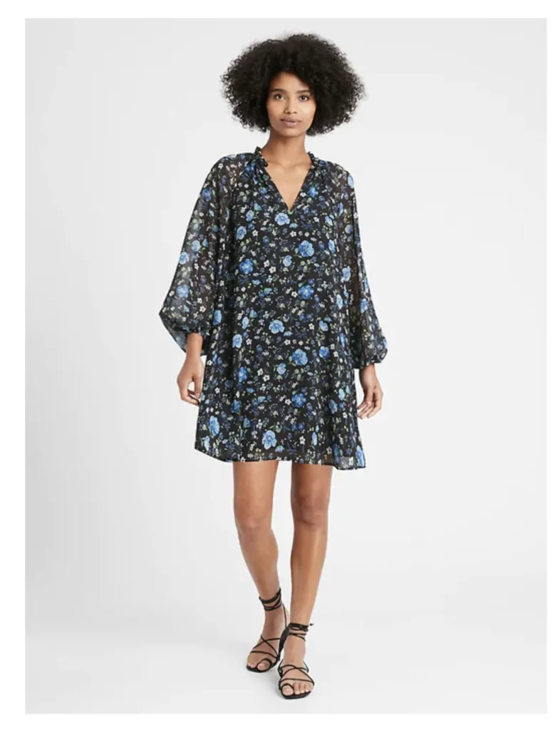 Banana Republic Floral Swing Dress