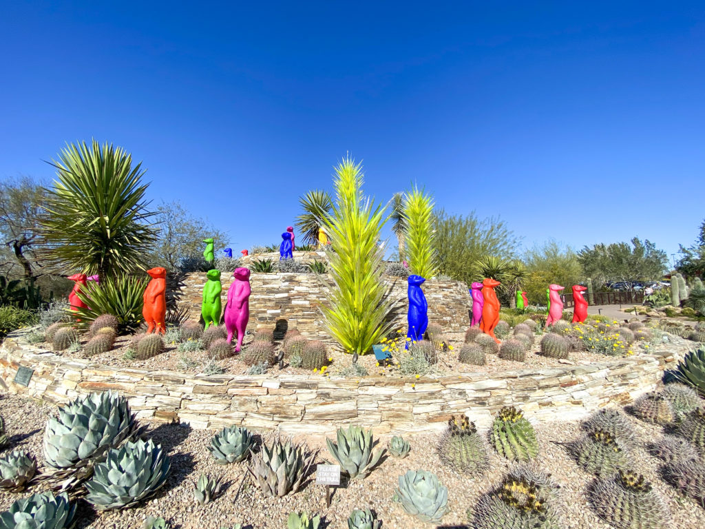 Desert Botanical Garden