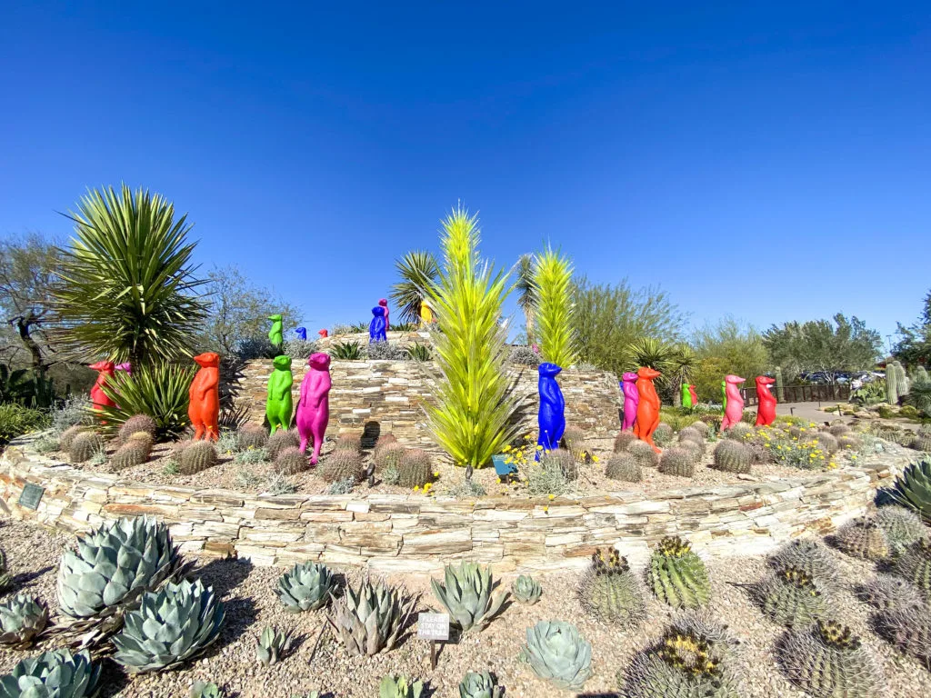 Desert Botanical Garden