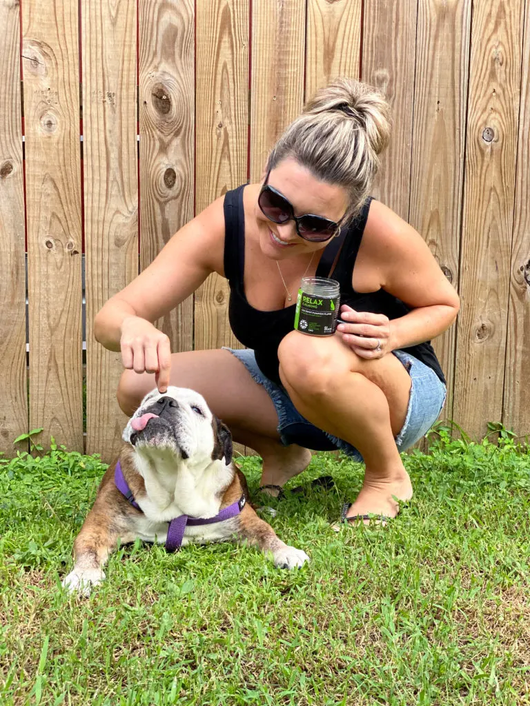 woman outside feeding bulldog cbd chews