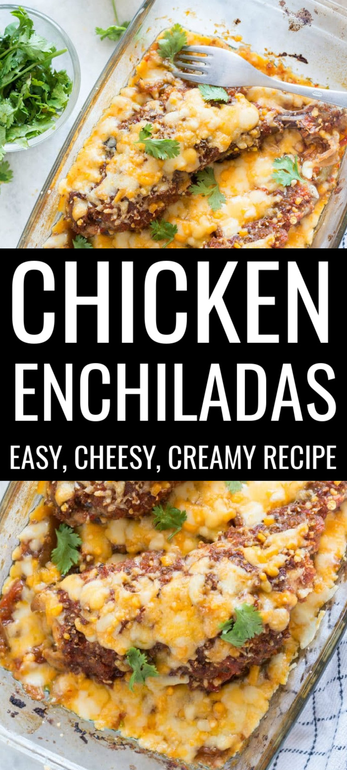 chicken and cheese enchiladas